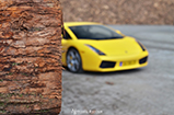 Fotoreportage: Lamborghini Gallardo